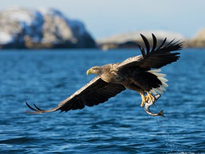 18-19-SudAm-Asteria-OpVakantie-voorjaar-2026-ED20_page_19_item_4