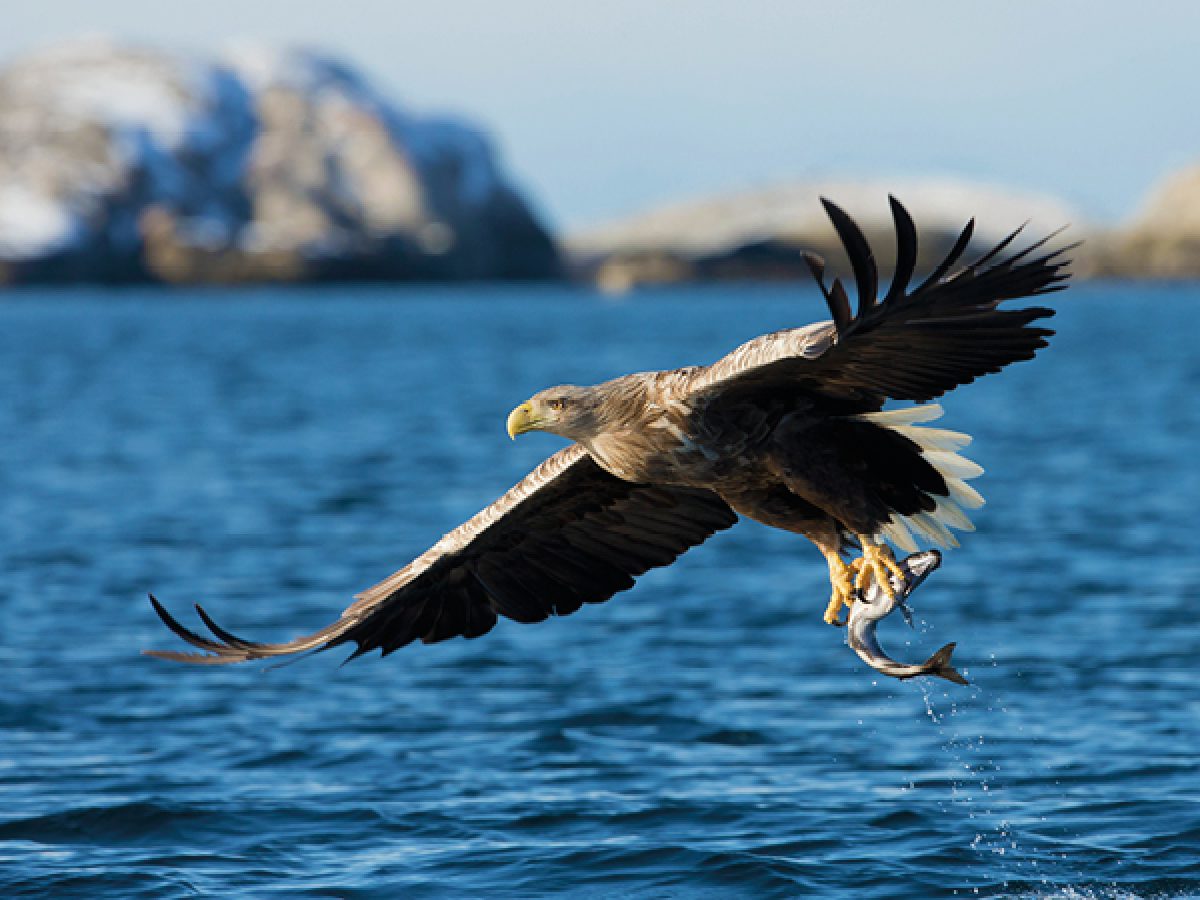 18-19-SudAm-Asteria-OpVakantie-voorjaar-2026-ED20_page_19_item_4