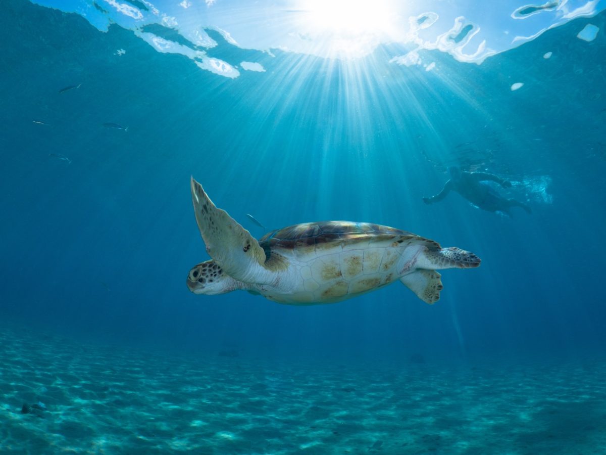 19_CTB-Playa-Grandi-108-Groot