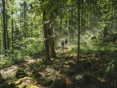 F014071-zelena_slovenija_ciril_jazbec_l1004430-photo-m-Groot