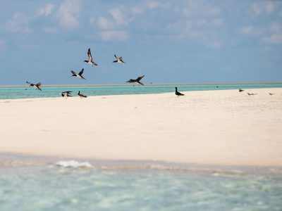 kimberley-full-Groot-01